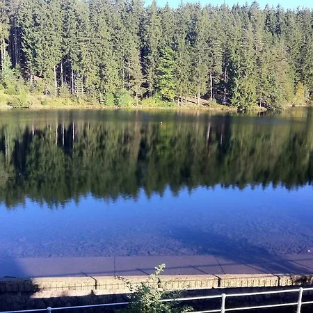 Ferienwohnungen Haus Am See Tambach-Dietharz Buitenkant foto