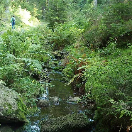Ferienwohnungen Haus Am See Tambach-Dietharz Buitenkant foto